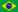 Brasileño